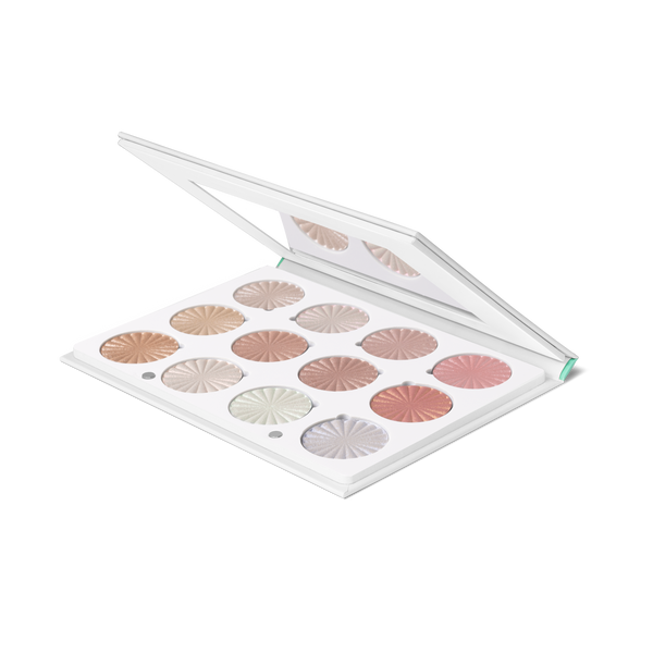 Ofra Cosmetics Pro Palette - Next Level Glow