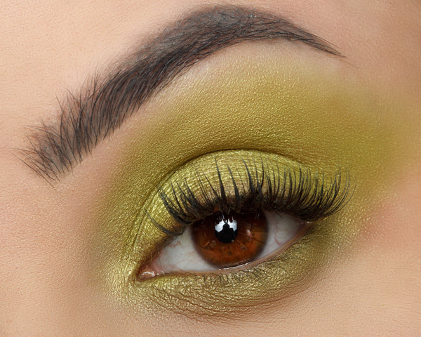 Ofra Cosmetics Signature Palette - Empowered