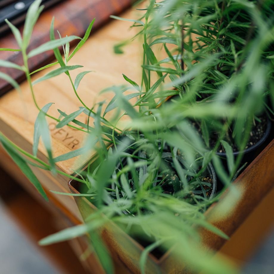 Ofyr OFYR Island Corten 100 PRO Teak Wood