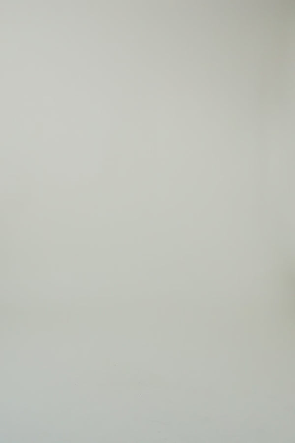 Oh April Zebra Scarf Blue Zebra