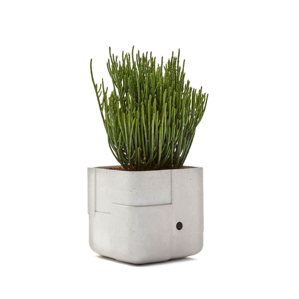 ok design AARDE Square XS