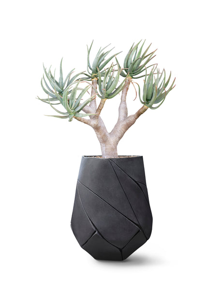 ok design BHACA Medium