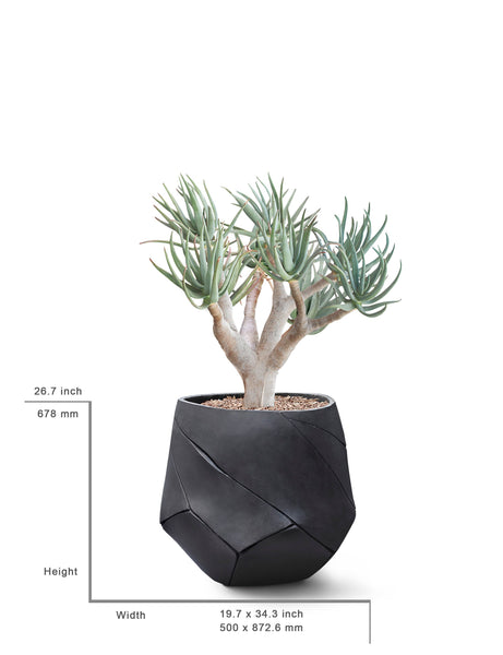 Ok Design BHACA Small