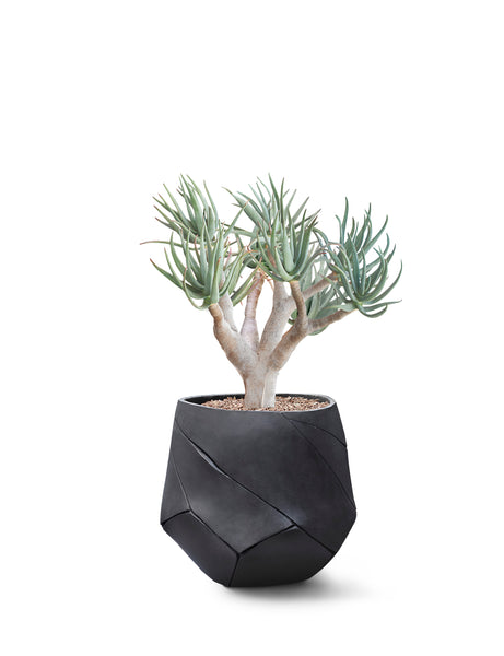 ok design BHACA Small