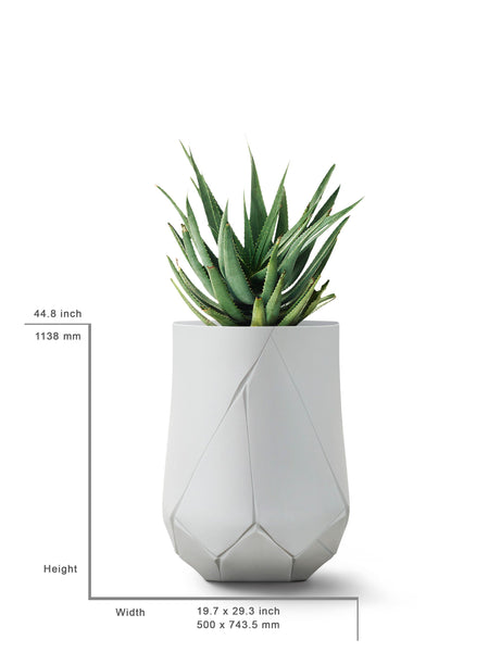 Ok Design BHACA Tall