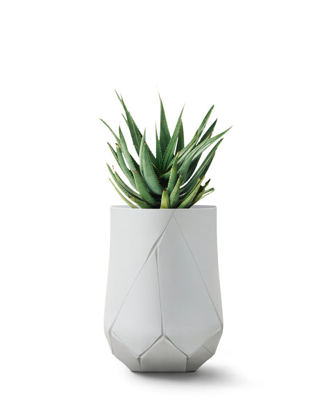 ok design BHACA Tall