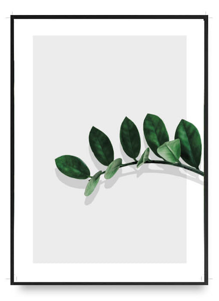 ok design Branch Of Leaves Poster