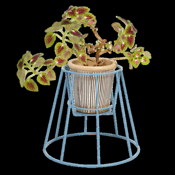 Ok Design Cibele Plant Stand