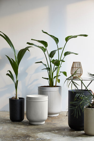 Ok Design EDAY Pot XL Grey