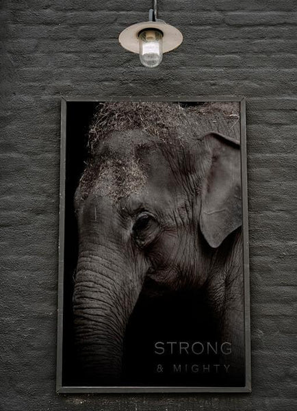Ok Design Elephant Poster