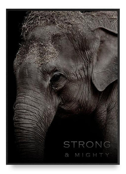 ok design Elephant Poster