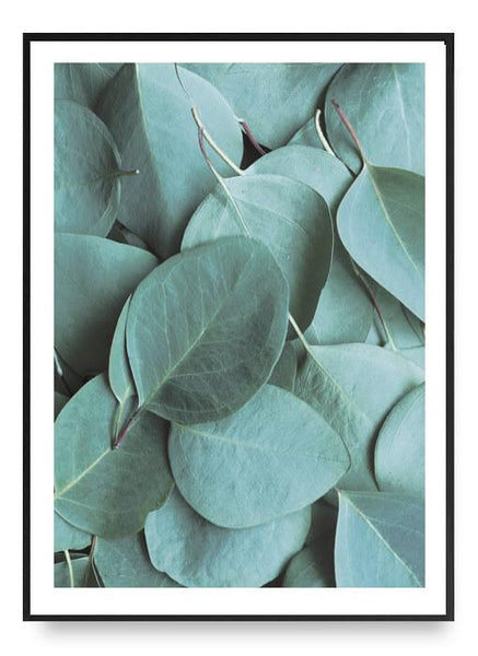 ok design Eucalyptus No. 1 Poster