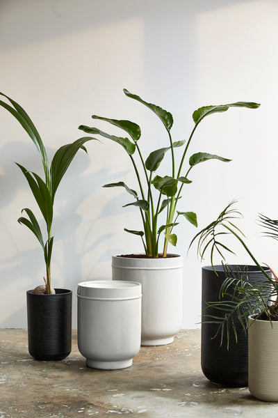 Ok Design GRANITO Pot Creme