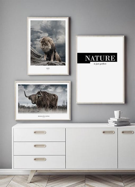 Ok Design Highland Cattle Poster