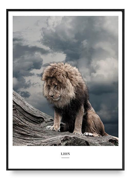 ok design Lion Poster