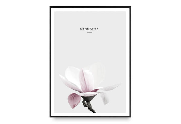 Ok Design Magnolia In Pink