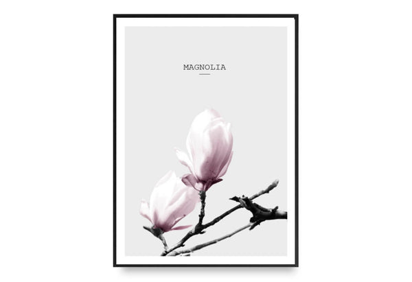 ok design Magnolia In Pink