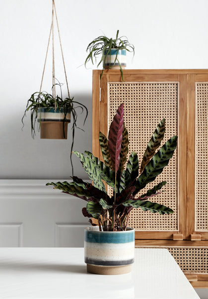 Ok Design MERGE Cabinet Nature W/rattan