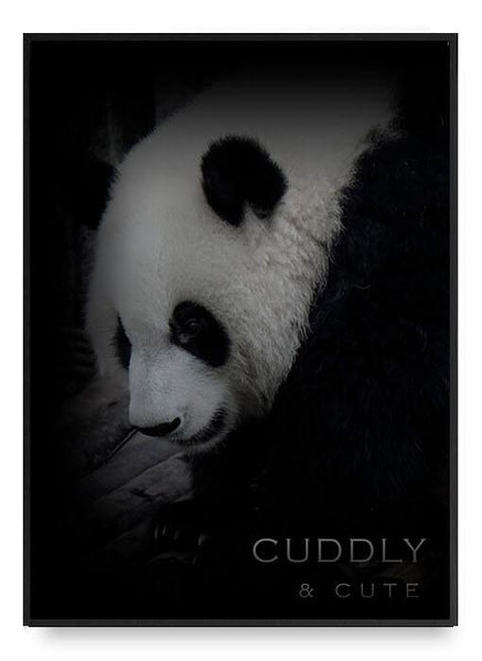ok design Panda Poster