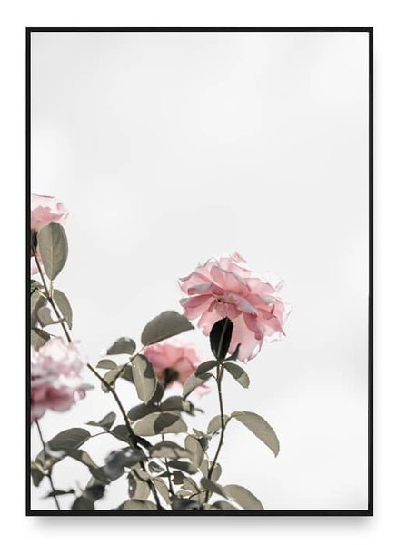 ok design Pastel Flowers Poster