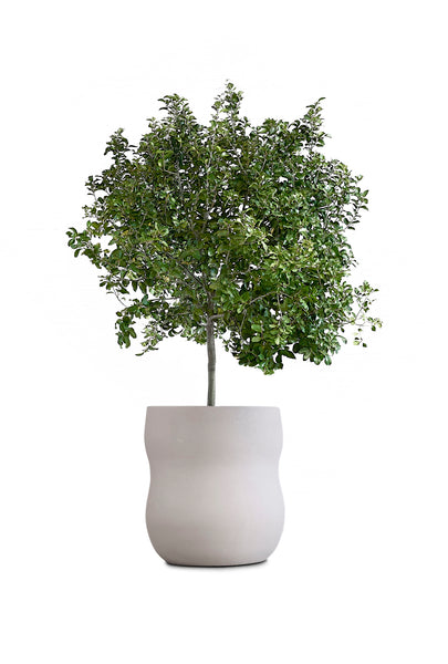 ok design PEBBLE Extra Small