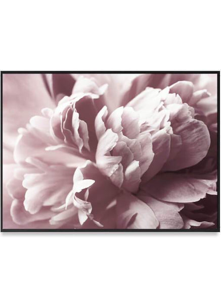 ok design Pink Peony Poster