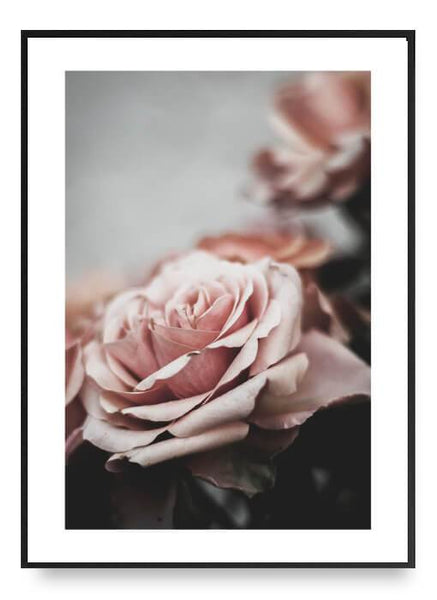 ok design Rose No. 1 Poster