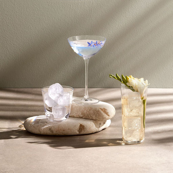 Ok Design Savage Set Of 2 Coupetini Glasses