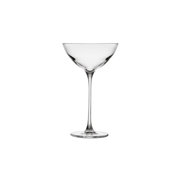 ok design Savage Set of 2 Coupetini Glasses