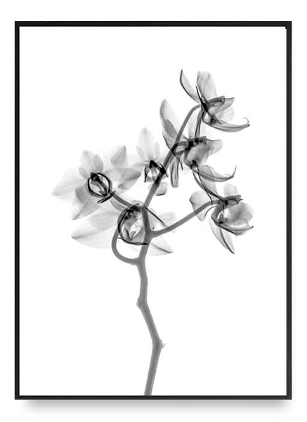 ok design Simple Flower Poster