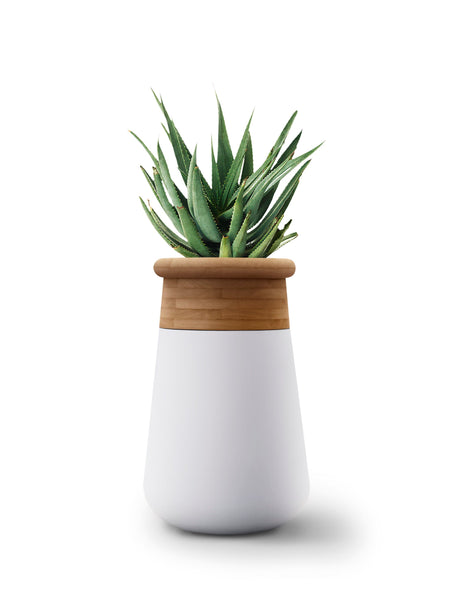 ok design SOMA L Wood Top