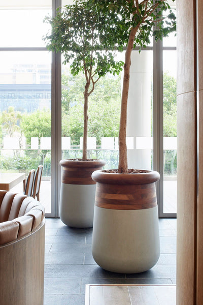 Ok Design SOMA M Wood Top