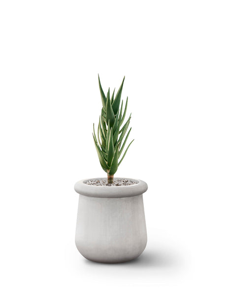 ok design SOMA S All Stone