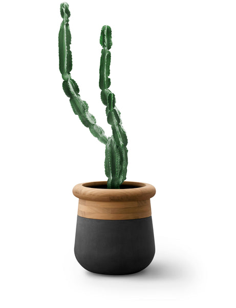 ok design SOMA S Wood Top