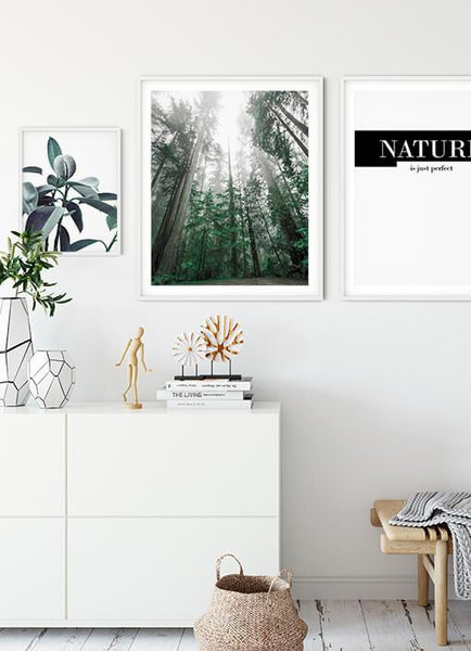 Ok Design Treetop Poster