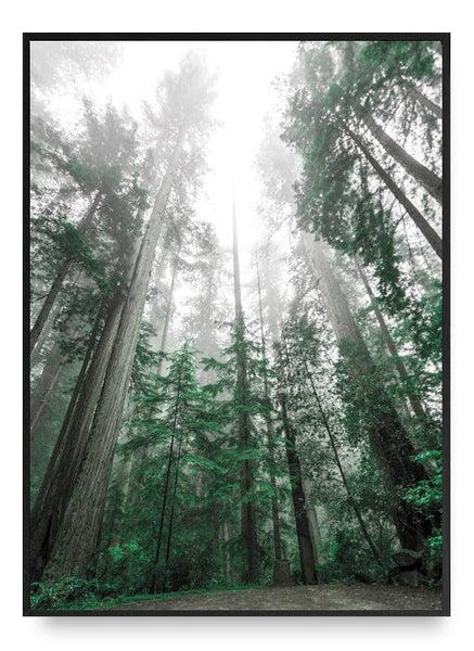 ok design Treetop Poster