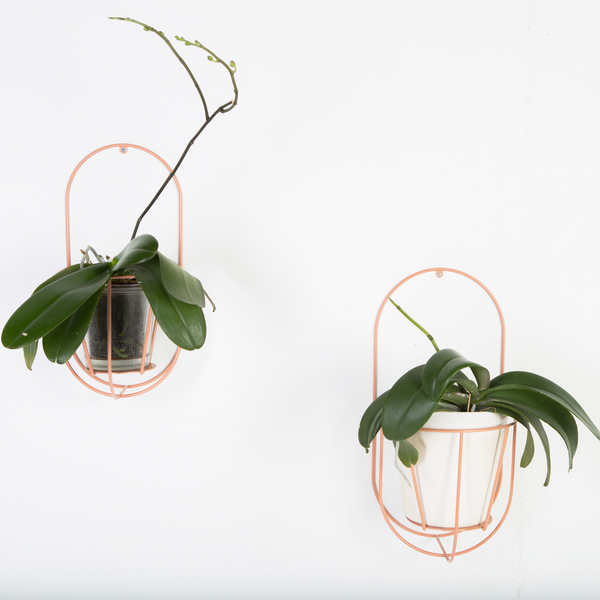 Ok Design Wall Cibele Plant Holder Small