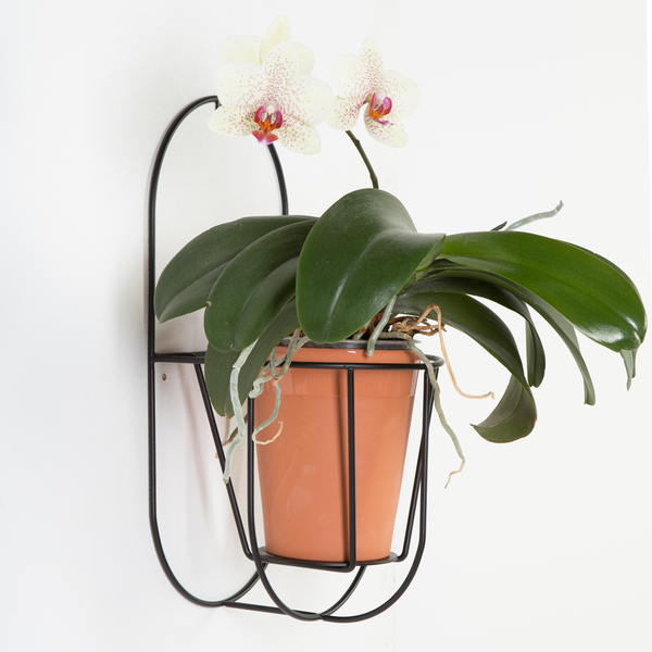 Ok Design Wall Cibele Plant Holder Small