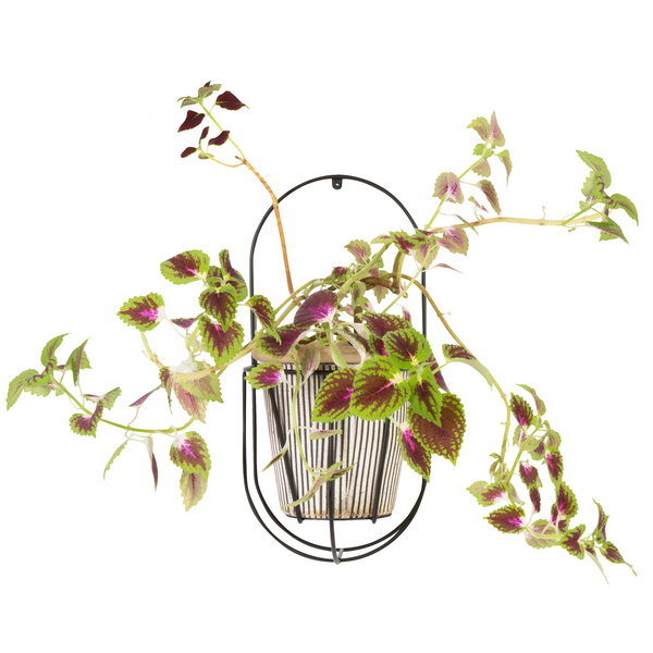 ok design Wall Cibele Plant Holder Small