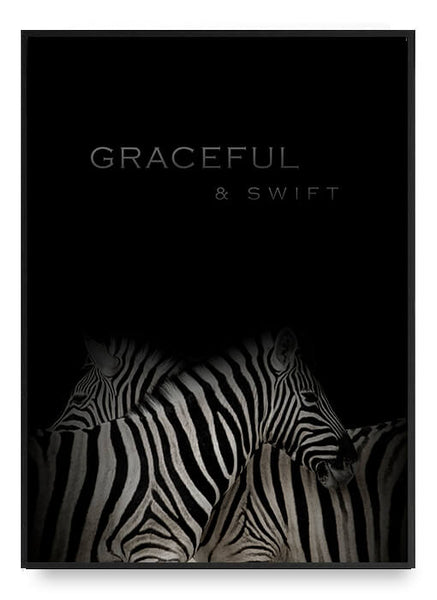 ok design Zebra Poster