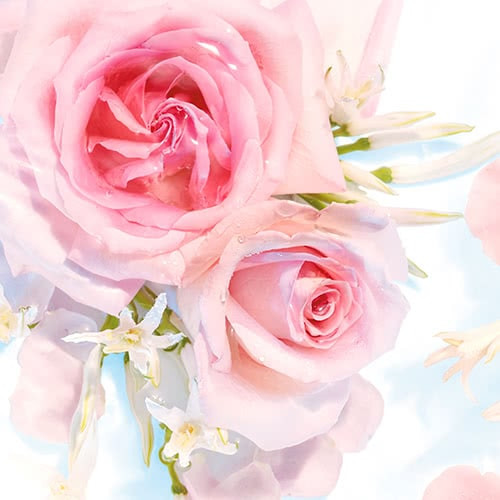 Olay Fresh Outlast Body Wash