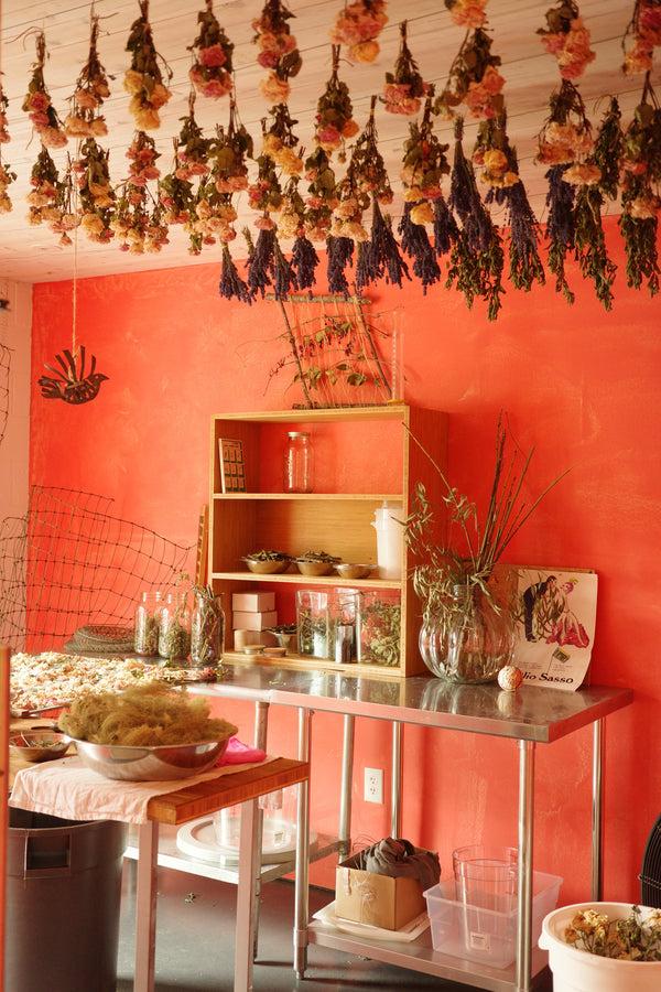 Olio E Osso Workshop: Body Scrubs And Polishes 8/24 4:00-5:30PM