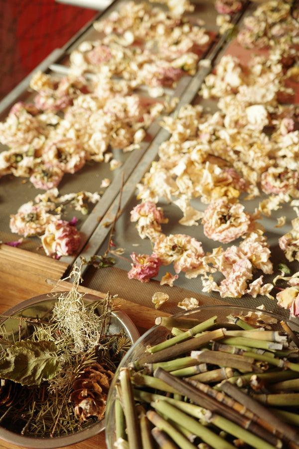 olio e osso Workshop: Body Scrubs and Polishes 8/24 4:00-5:30PM