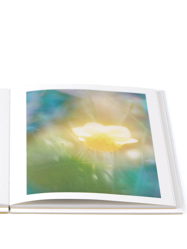 Oliver Spencer The Autumns Of Spring - Jordan Sullivan