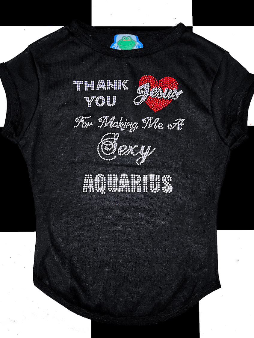 o'mighty AQUARIUS BABY TEE