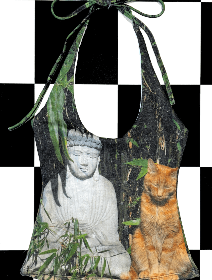 o'mighty BUDDHA AND THE CAT HALTER