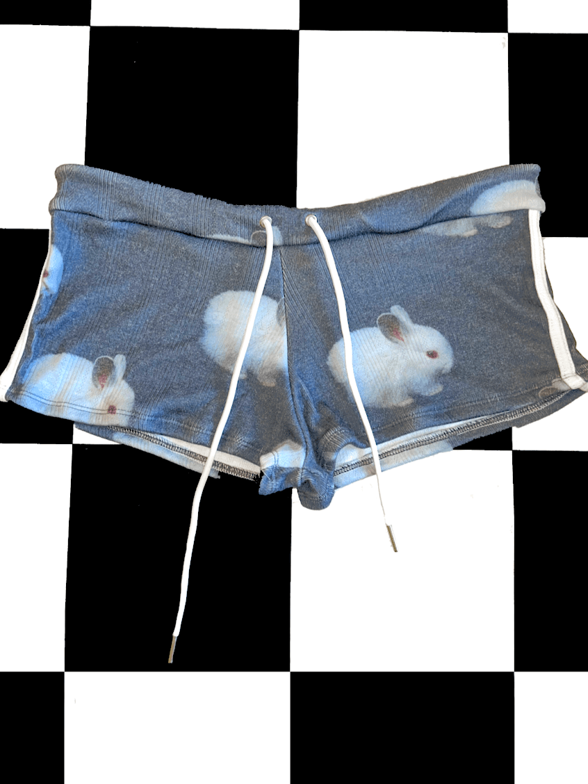 o'mighty BUNNY POINTELLE BOY SHORT