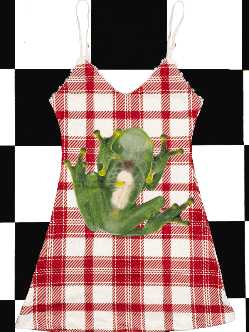 o'mighty FROG POINTELLE DRESS IN PLAID