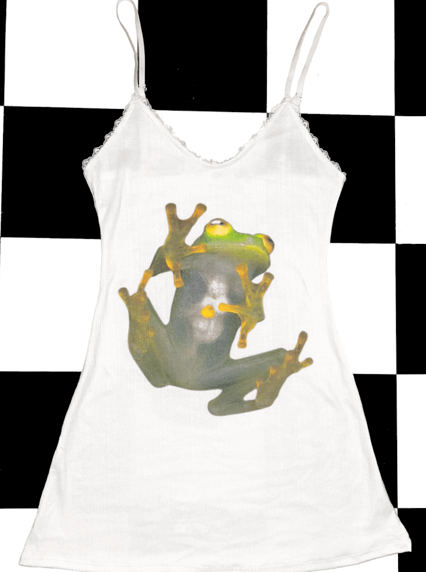 o'mighty FROG POINTELLE DRESS IN WHITE