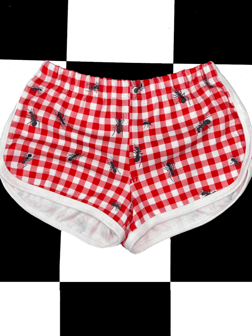 o'mighty GINGHAM ANT RINGER SHORT